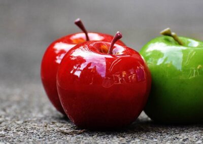 Systemische Organisationsberatung: Einführung in den Beratungsansatz