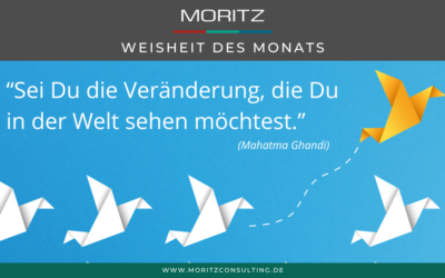 Weisheit des Monats – Juni 2024