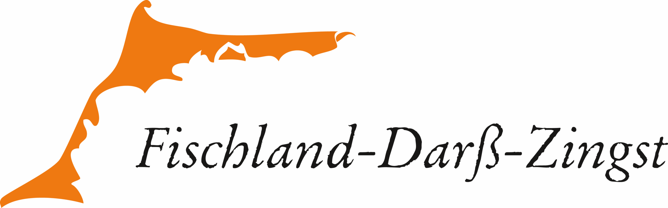 Logo TV FDZ