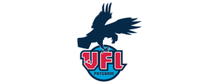 Logo VFL